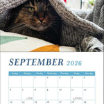Cats And Books 2026 Wall Calendar 9780789348326_4