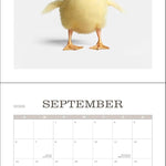 Farm Life 2026 Wall Calendar 9780789348364_4