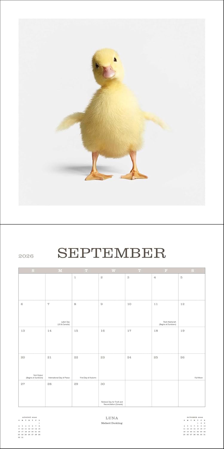 Farm Life 2026 Wall Calendar 9780789348364_4
