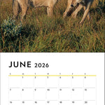 National Geographic: Wolves 2026 Wall Calendar 9780789348517_3