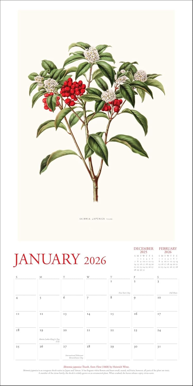 New York Botanical Garden 2026 Wall Calendar 9780789348531_2