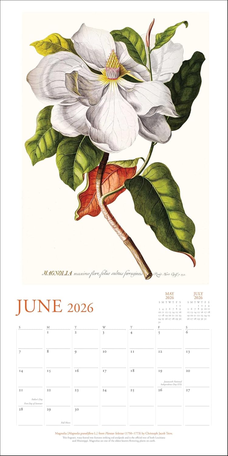 New York Botanical Garden 2026 Wall Calendar 9780789348531_3