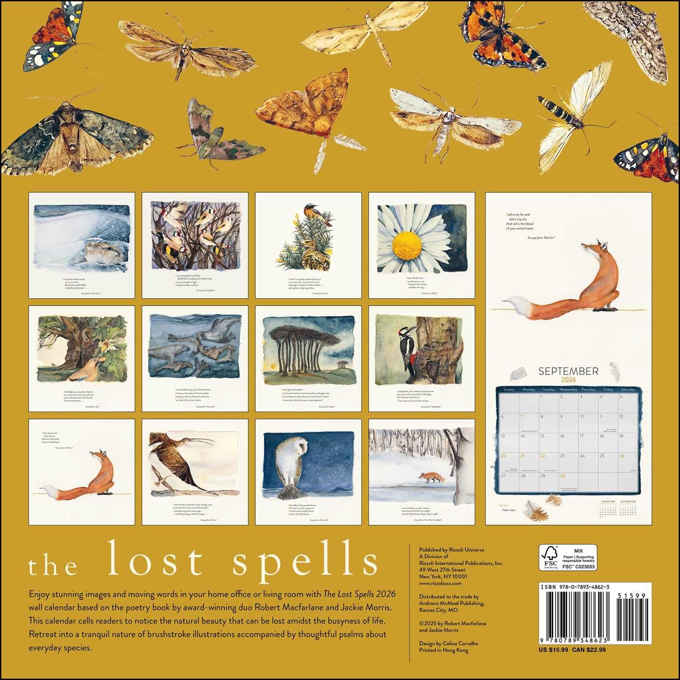 Lost Spells 2026 Wall Calendar 9780789348623_1
