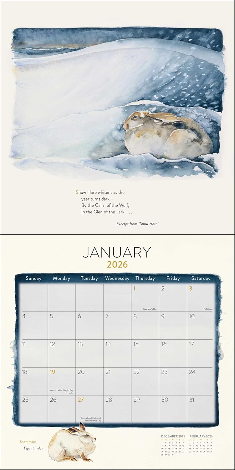 Lost Spells 2026 Wall Calendar 9780789348623_2