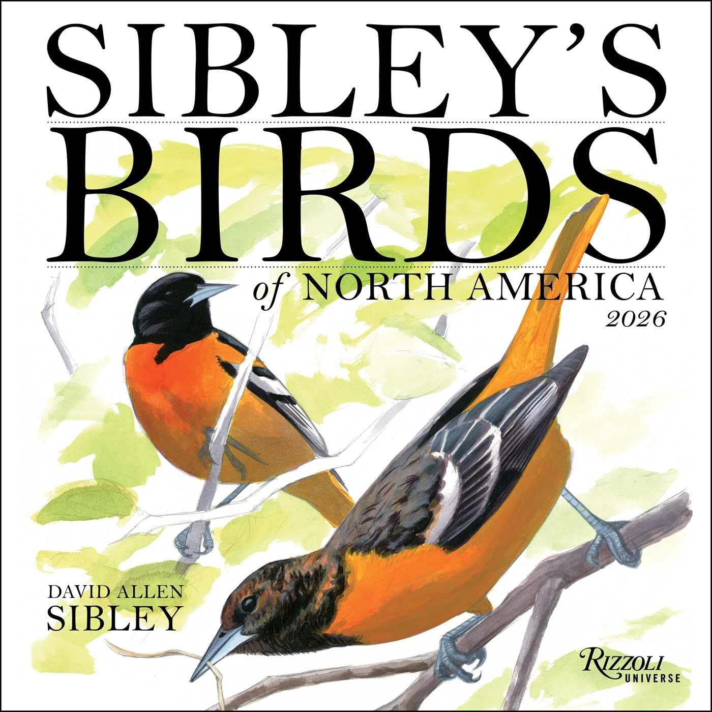 Sibley's Birds Of North America 2026 Wall Calendar 9780789348715