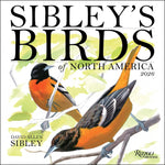 Sibley's Birds Of North America 2026 Wall Calendar 9780789348715