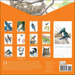 Sibley's Birds Of North America 2026 Wall Calendar 9780789348715_1