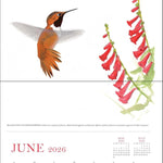 Sibley's Birds Of North America 2026 Wall Calendar 9780789348715_3