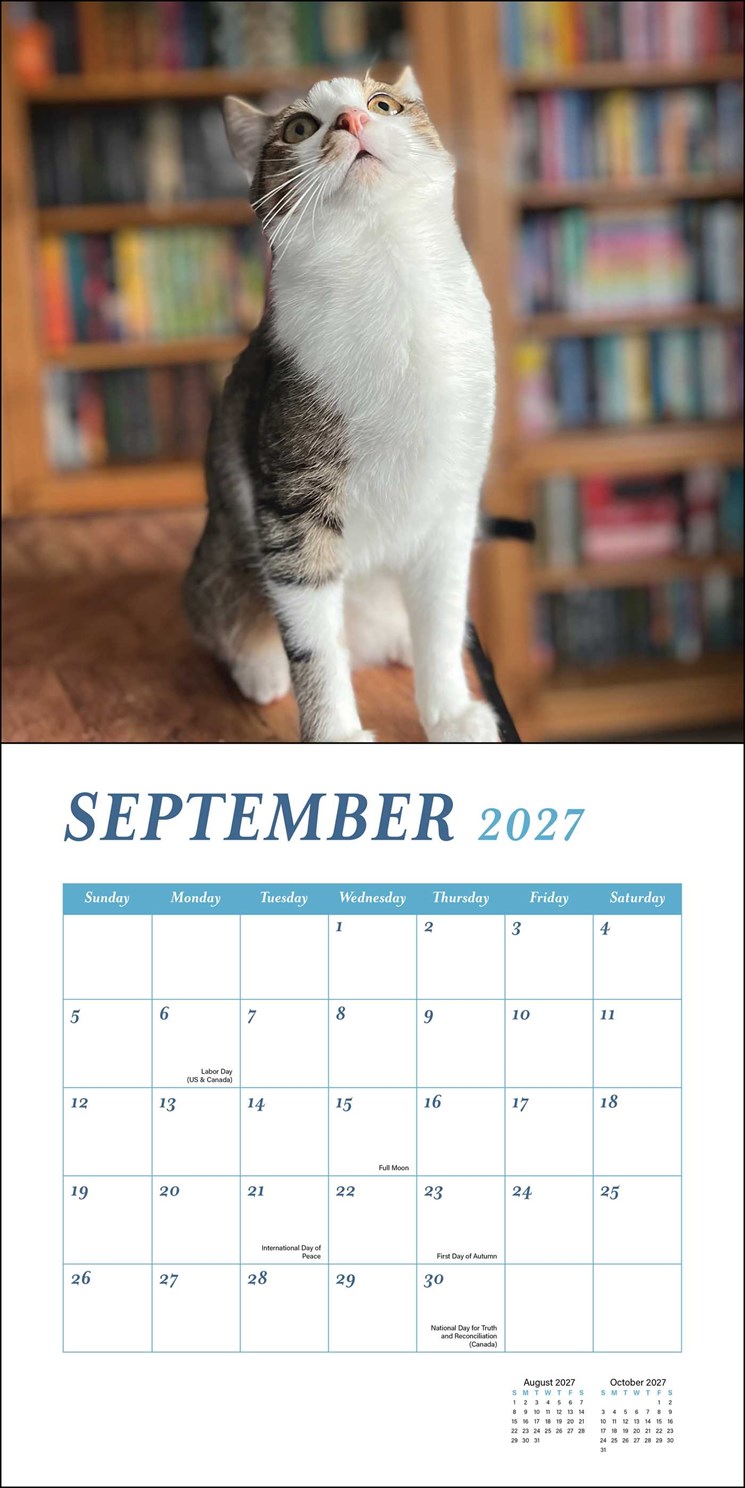 2027 Cats & Books Wall Calendar 12x12 20 9780789349354._3