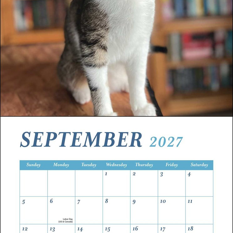 2027 Cats & Books Wall Calendar 12x12 20 9780789349354._3