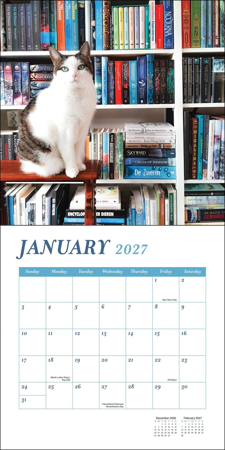 2027 Cats & Books Wall Calendar 12x12 20 9780789349354_1