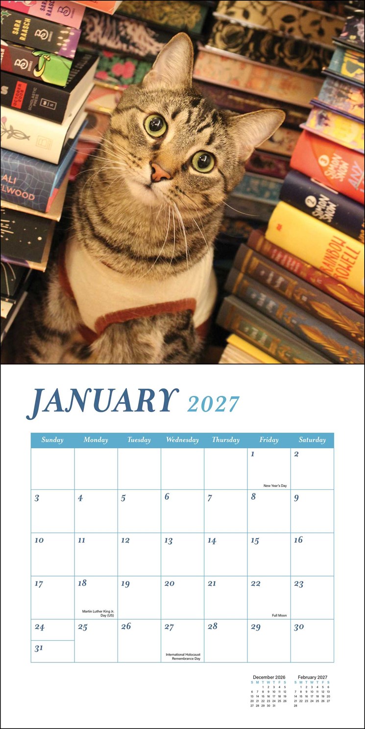 2027 Cats & Books Wall Calendar 12x12 20 9780789349354_2
