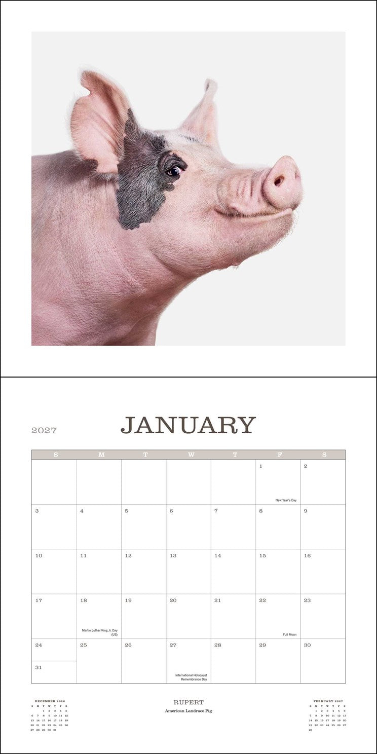 2027 Farm Life: A Collection of Animal Portraits Wall Calendar 12x12 20 9780789349392_1