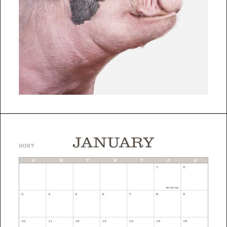 2027 Farm Life: A Collection of Animal Portraits Wall Calendar 12x12 20 9780789349392_1