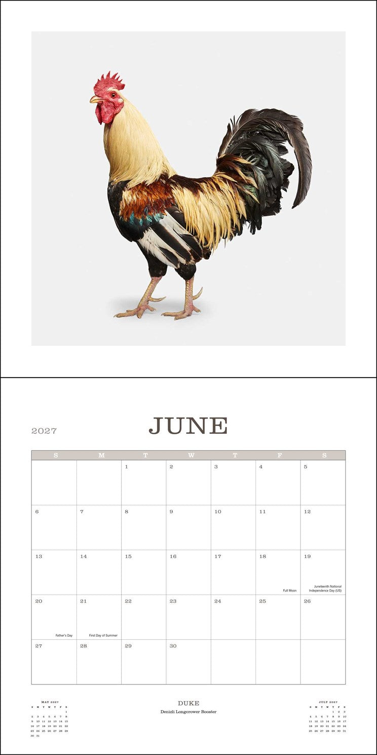 2027 Farm Life: A Collection of Animal Portraits Wall Calendar 12x12 20 9780789349392_2