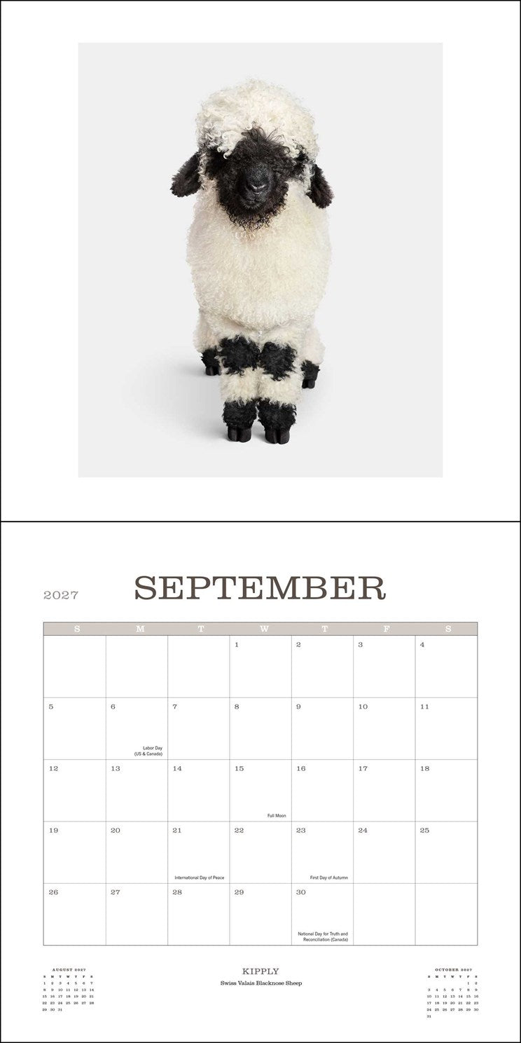 2027 Farm Life: A Collection of Animal Portraits Wall Calendar 12x12 20 9780789349392_3