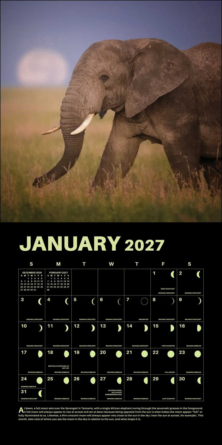 2027 Lunar Wall Calendar 12x12 with 365 Glow-in-the-Dark Moons 20 9780789349460_1