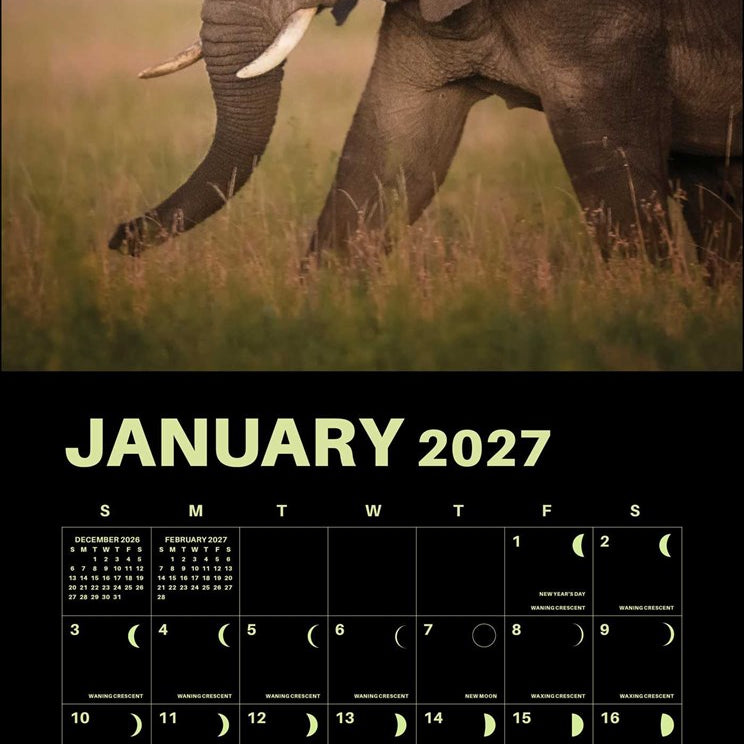 2027 Lunar Wall Calendar 12x12 with 365 Glow-in-the-Dark Moons 20 9780789349460_1
