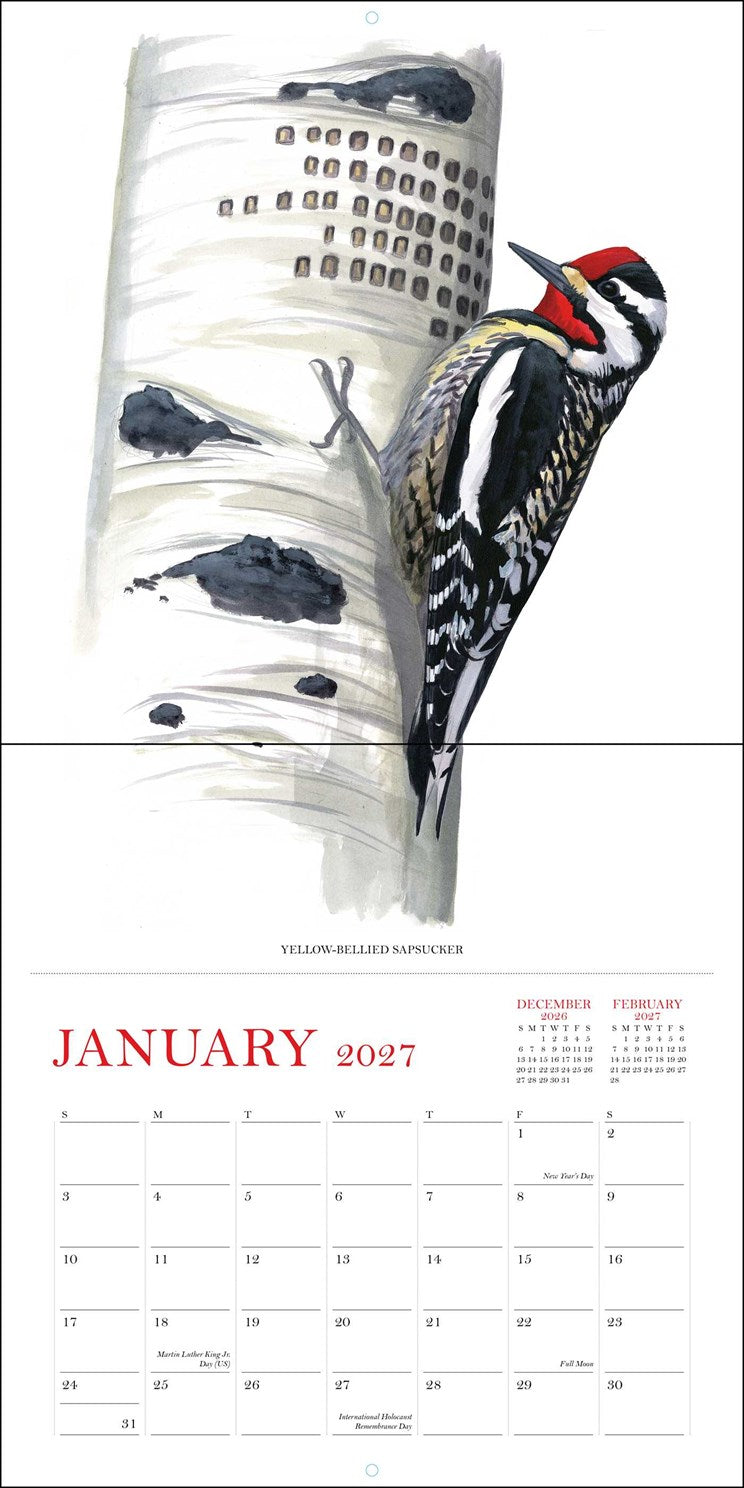 2027 Sibley's Birds of North America Wall Calendar 12x12 20 9780789349576_1