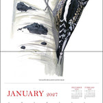 2027 Sibley's Birds of North America Wall Calendar 12x12 20 9780789349576_1