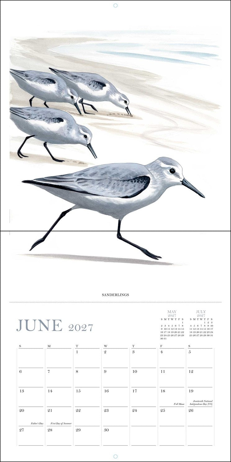 2027 Sibley's Birds of North America Wall Calendar 12x12 20 9780789349576_2