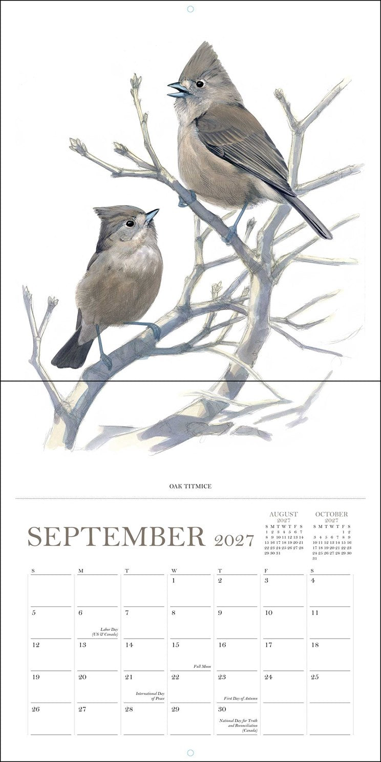 2027 Sibley's Birds of North America Wall Calendar 12x12 20 9780789349576_3