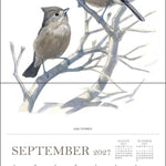 2027 Sibley's Birds of North America Wall Calendar 12x12 20 9780789349576_3