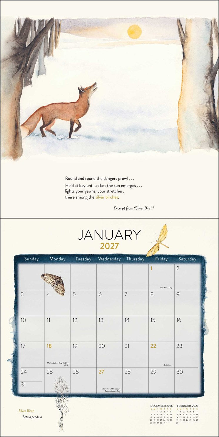 2027 The Lost Spells Wall Calendar 12x12 20 9780789349644_1