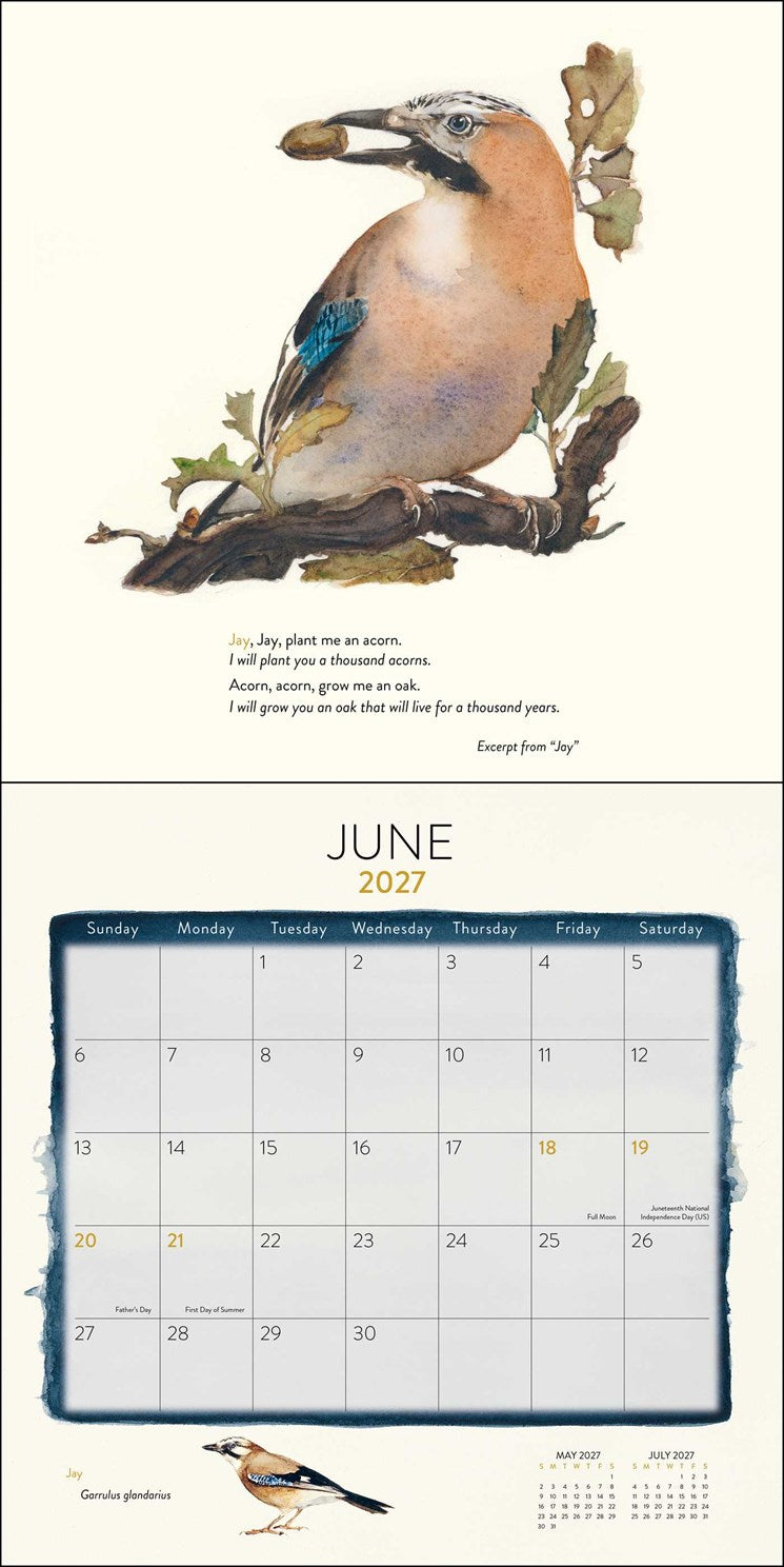 2027 The Lost Spells Wall Calendar 12x12 20 9780789349644_2