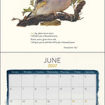 2027 The Lost Spells Wall Calendar 12x12 20 9780789349644_2