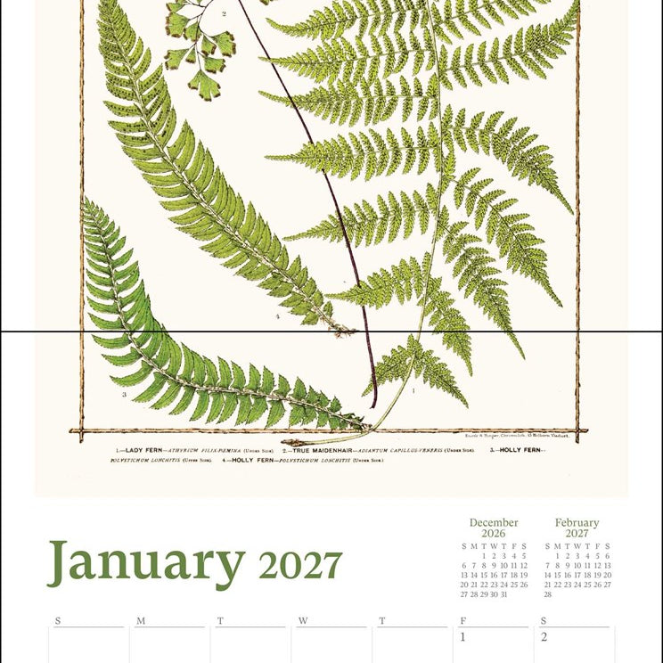 2027 New York Botanical Garden Wall Calendar 12x12 20 9780789349651_1
