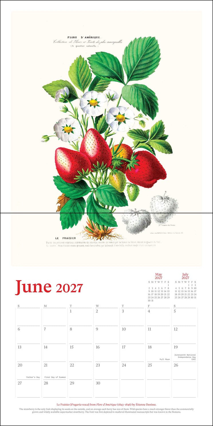 2027 New York Botanical Garden Wall Calendar 12x12 20 9780789349651_2