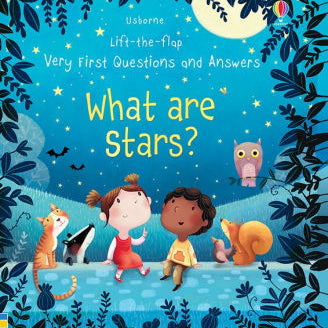 What Are The Stars by Usborne 9780794542115