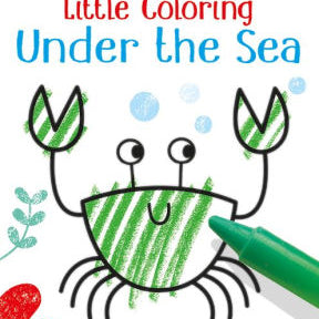 Under The Sea Little Coloring by Usborne 9780794550042_215c2d76-b9d9-4849-bc60-5fd055b34e7e