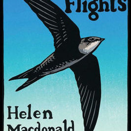 Vesper Flights by Macdonald. Helen 9780802128812