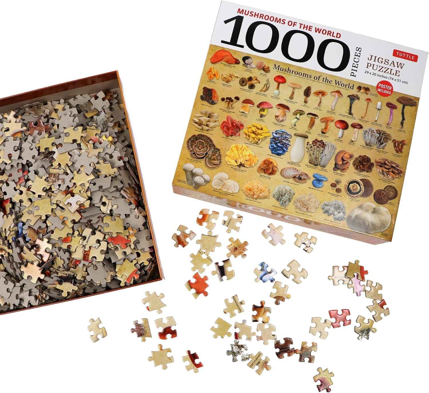 Mushrooms Of The World 1000 Piece Jigsaw Puzzle - Tuttle 9780804856768_1