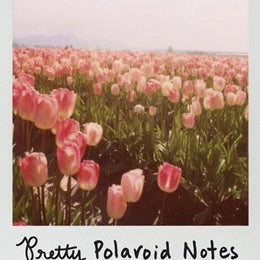 Pretty Polariod Notecards 9780811879408