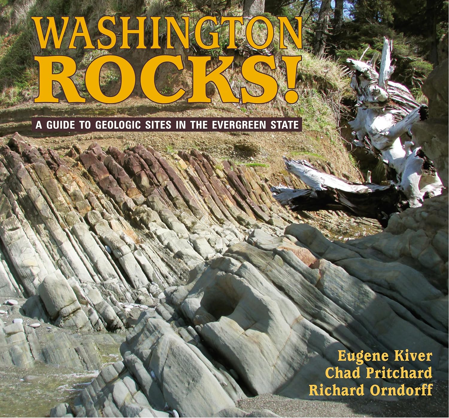 Washington Rocks! by Kiver. Eugene 9780878426546_f7a82d41-0569-4e42-9682-a5bcb1b0ac79