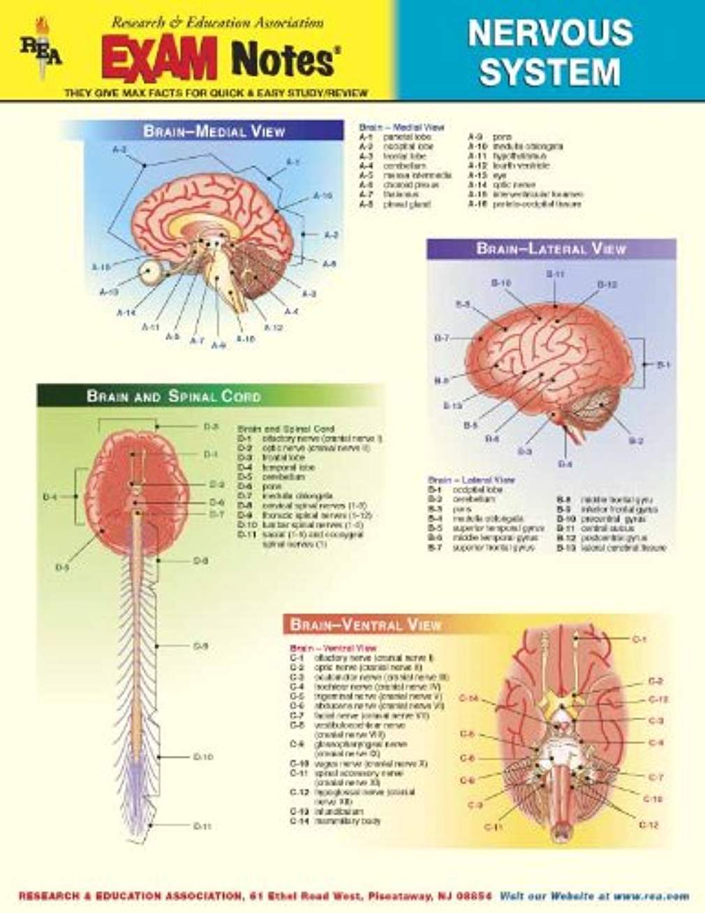 Nervous System 9780878918317_afefd90d-908d-4d2c-b845-3449965d0064