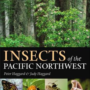 Insects Of The Pacific 9780881926897_c53724f7-0530-4f65-a176-233694fb80d6