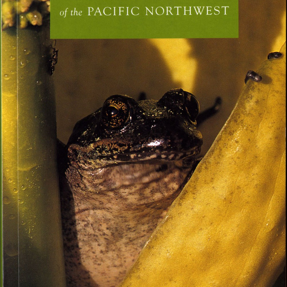Amphibians Of The Pacific Northwest by Jones. Lawrence L C; Leonard. William P 9780914516163
