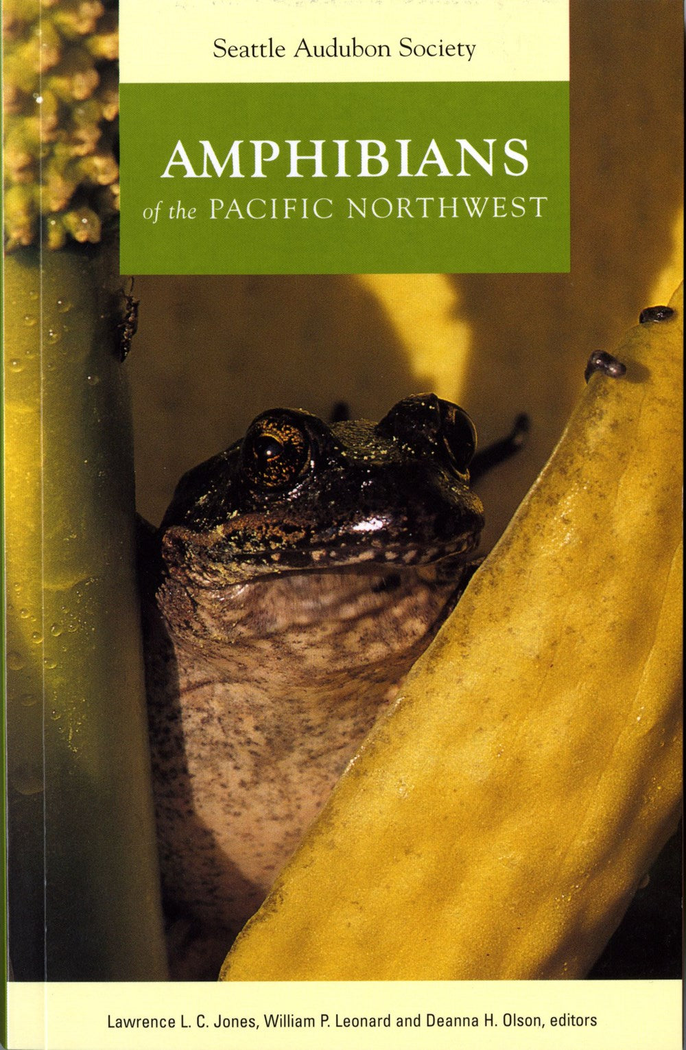 Amphibians Of The Pacific Northwest by Jones. Lawrence L C; Leonard. William P 9780914516163