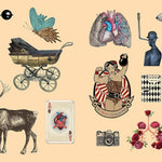 Sticker Studio: Arcana: A Sticker Gallery Of Vintage Ephemera by Standish. Chloe 9781250279330_1