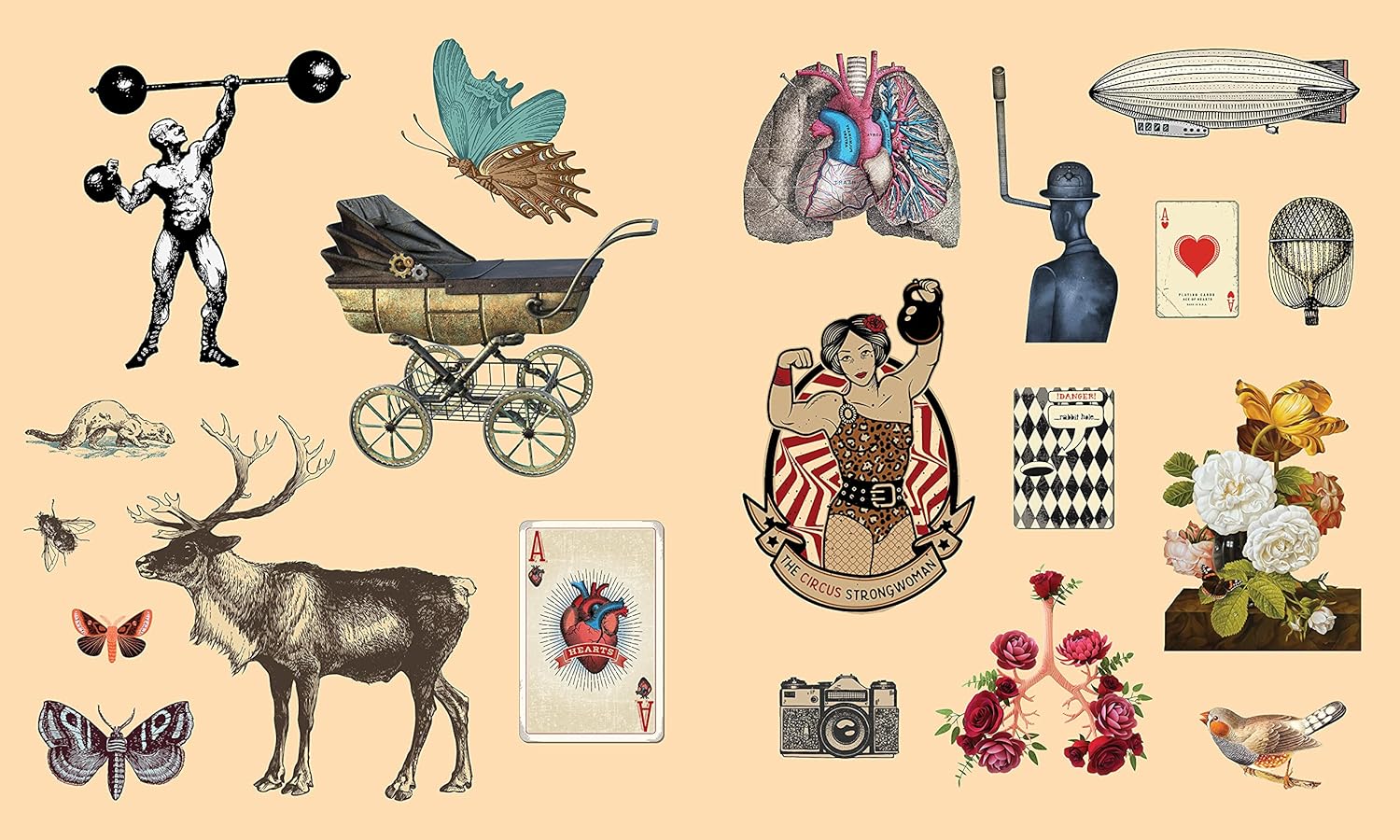 Sticker Studio: Arcana: A Sticker Gallery Of Vintage Ephemera by Standish. Chloe 9781250279330_1