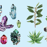 Sticker Studio: Apothecary: A Sticker Gallery For Modern Mystics by Standish. Ch 9781250279347_2