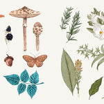 Sticker Studio: Apothecary: A Sticker Gallery For Modern Mystics by Standish. Ch 9781250279347_3