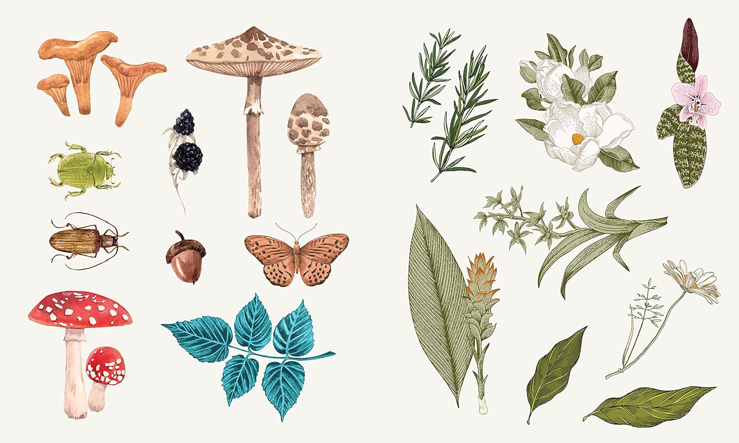 Sticker Studio: Apothecary: A Sticker Gallery For Modern Mystics by Standish. Ch 9781250279347_3