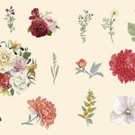Sticker Studio: Flora: A Sticker Gallery Of Beautiful Blooms by Standish. Chloe 9781250279477_1