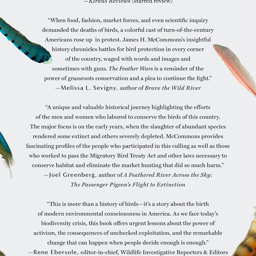 The Feather Wars by Mccommons. James H. 20 9781250286895_1_b3f7546d-4be5-42a3-bf8f-f7d6ce36f9b0
