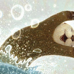 Odder: An Otter's Story (Picture Book) by Applegate. Katherine 9781250323590_1